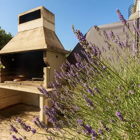 Very Special Apartment *